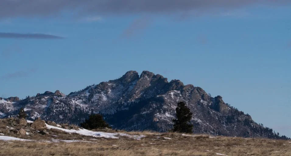 Seasonal Closures of Wyoming Wildlife Habitat Areas Aim to Protect Wintering Wildlife