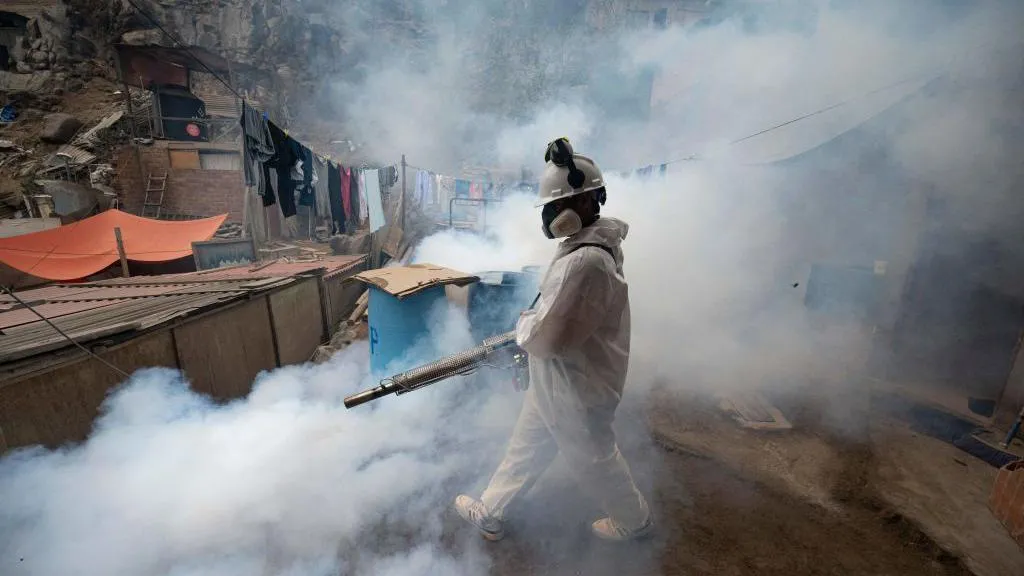 Dengue Fever Cases Surge to Record Levels in Central and South America