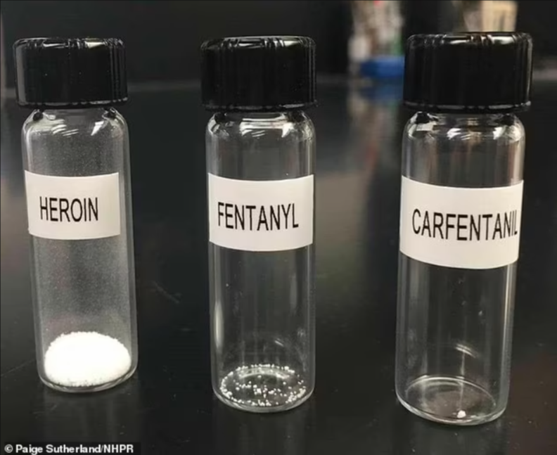 CDC Issues Urgent Warning About Carfentanil, a Drug 100 Times More Lethal Than Fentanyl, Following Deadly Surge Across 37 States