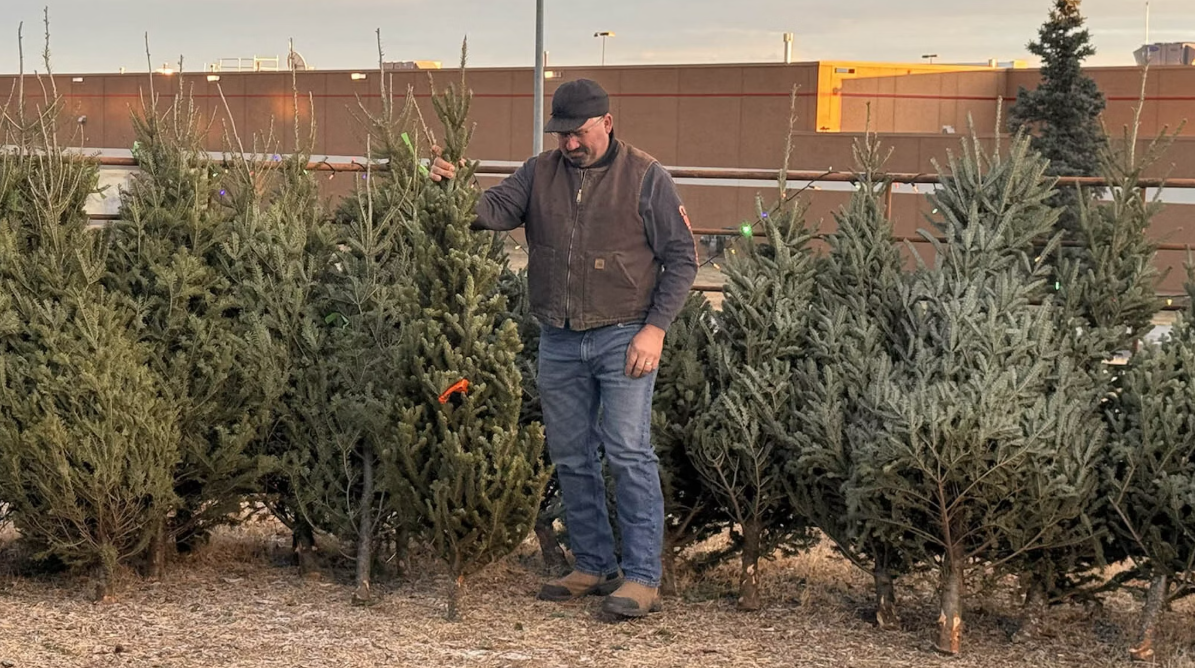 Wyoming Christmas Tree Prices Remain Stable Despite Increased Demand and Supply Challenges