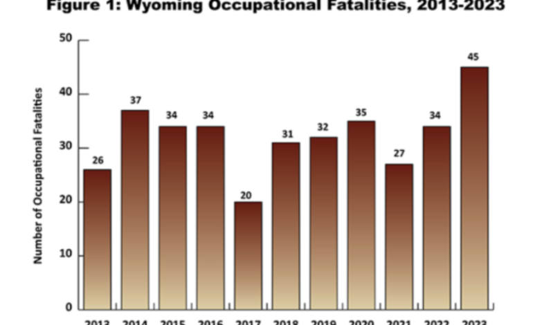 Occupational Fatalities in Wyoming Rise in 2023: Key Trends and Insights