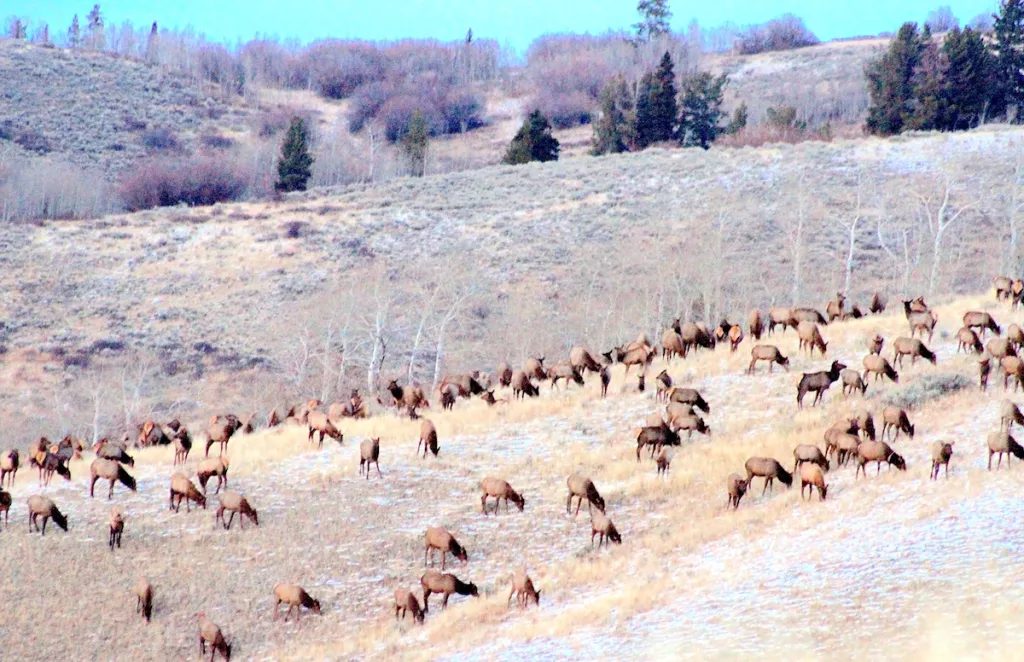 Gordon Signs Agreement to Sell Kelly Parcel to Grand Teton National Park for $100 Million