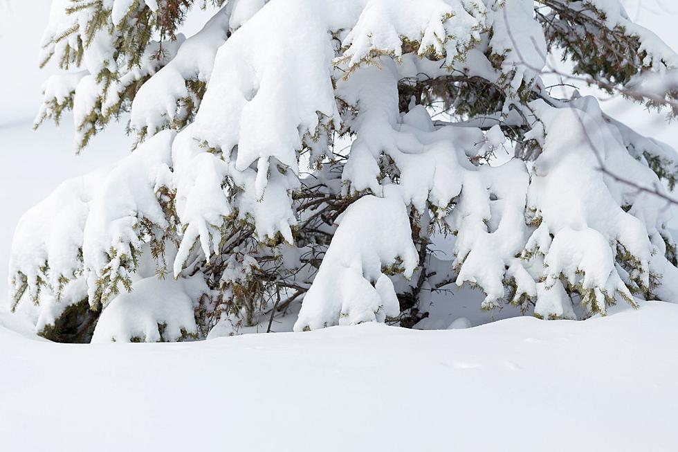 Heavy Snow and Strong Winds Expected in Sierra Madre Range Through Friday Morning