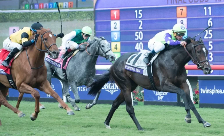 Wyoming Lawmakers Advance Bills on Local Control of Horse Racing Machines and National Betting