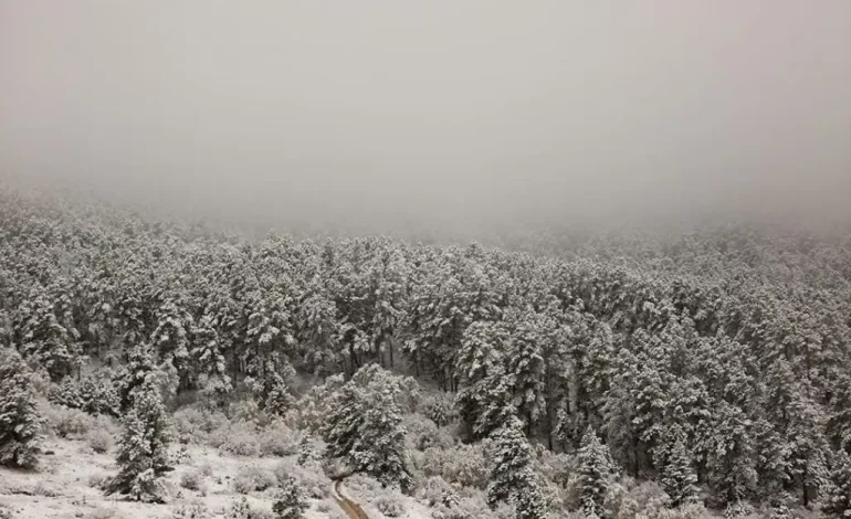 Arctic Storm to Bring Frigid Temperatures to Wyoming