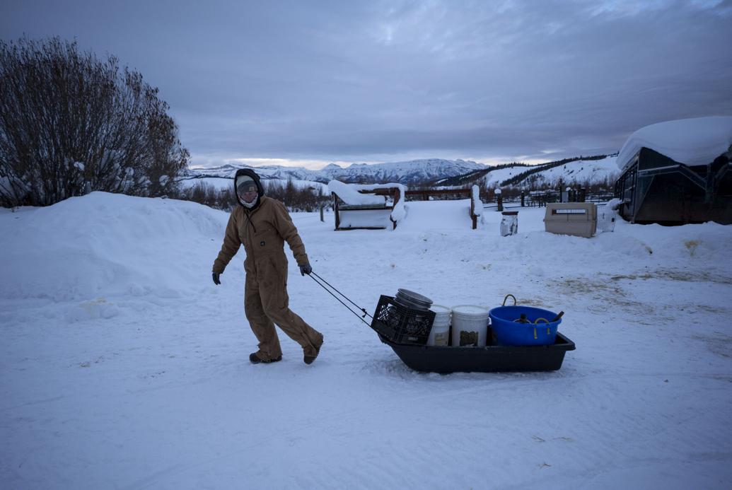 Wyoming PBS Premieres Documentary on Bondurant Dog Musher Alix Crittenden’s Comeback