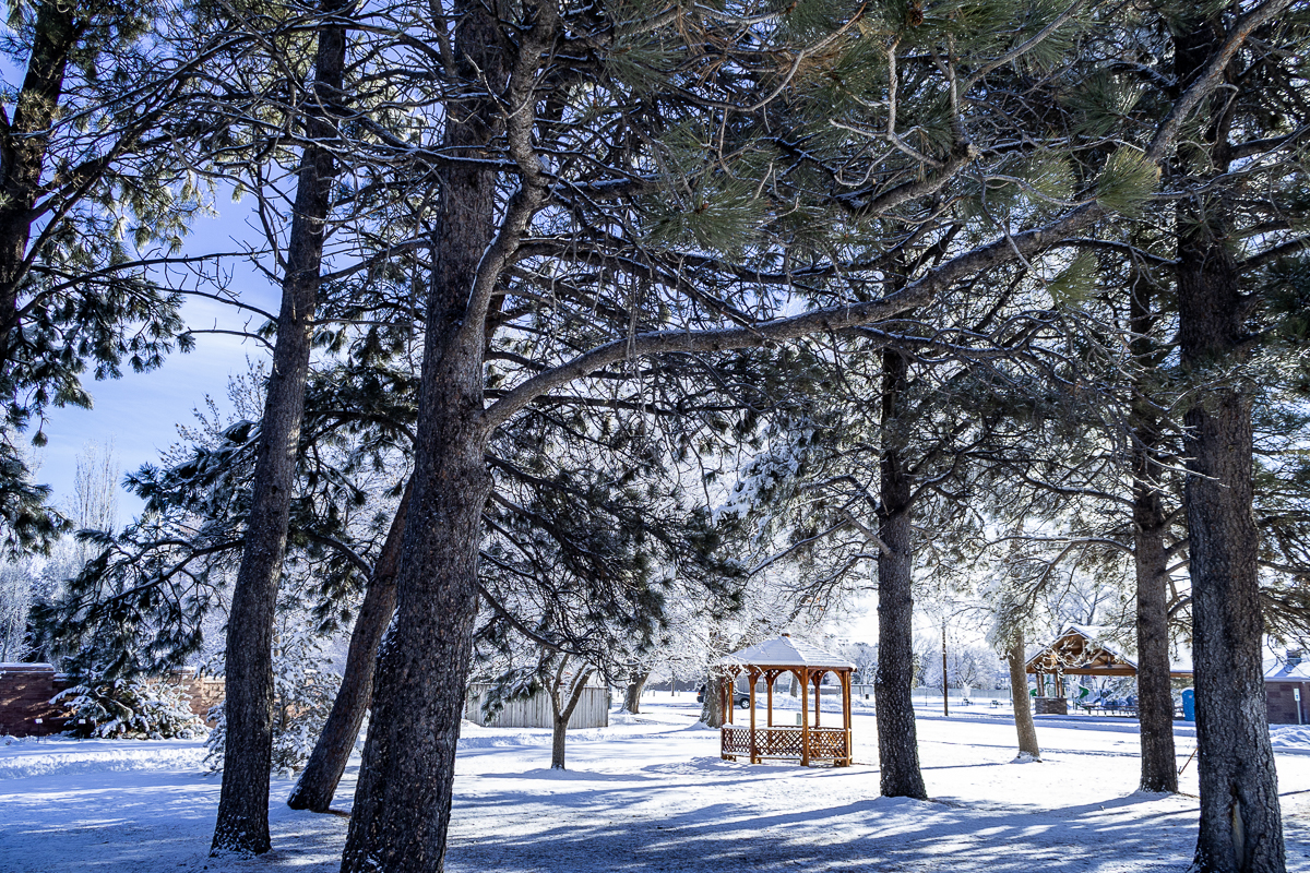 Southeast Wyoming Braces for High Winds and Morning Snow Showers