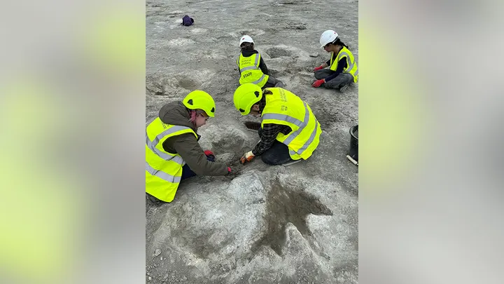 Ancient Dinosaur Tracks Reveal ‘Highway’ in Southern England