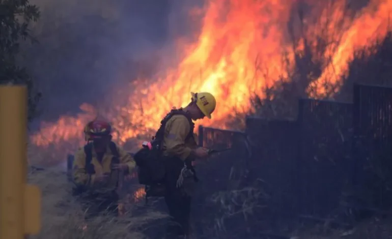 Climate ‘Whiplash’ Contributing to Intensified Wildfires in Los Angeles Area