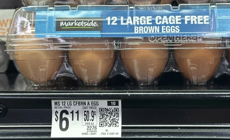 Bird Flu Outbreak Sends Egg Prices Soaring, Threatening Easter Supplies