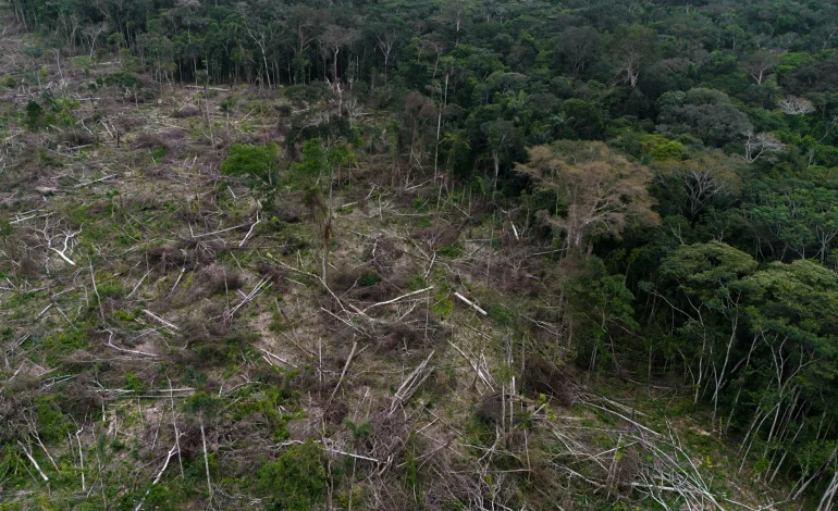 Biodiversity Talks Resume in Italy After Disagreements Over Funding