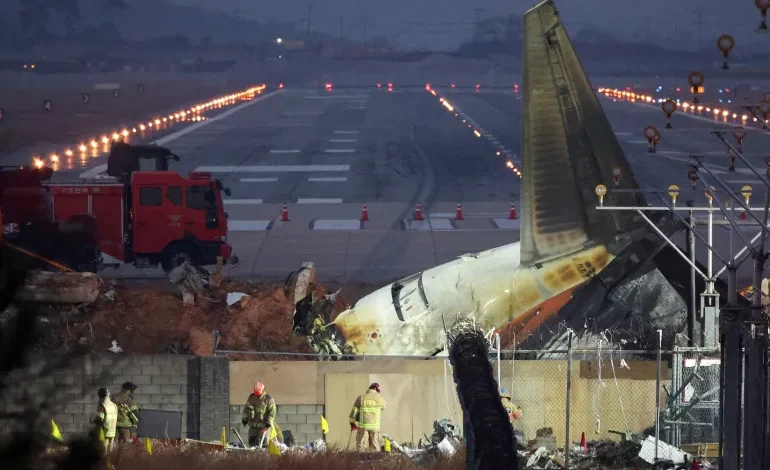 South Korea Mandates Bird Detection Systems at All Airports Following Deadly Crash