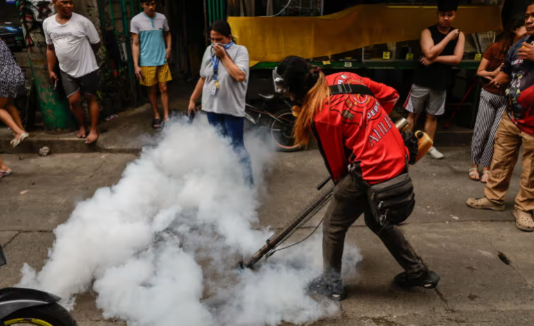 Philippine Village Offers Cash for Mosquitoes Amid Rising Dengue Cases