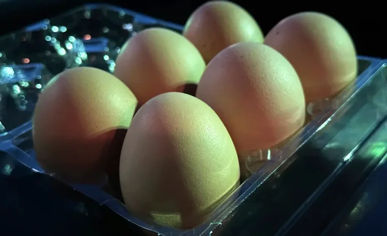 Are Eggs Safe to Consume Amidst the Ongoing Bird Flu Outbreak?