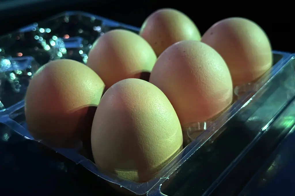 Are Eggs Safe to Consume Amidst the Ongoing Bird Flu Outbreak?