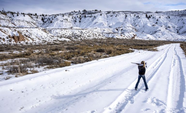 Wyoming Community Divided Over Coyote Hunt as Predator Control