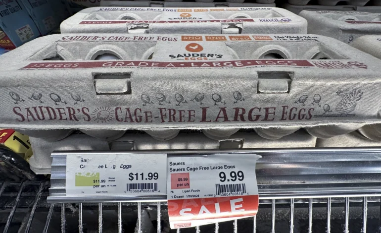 Rising Egg Prices Amid Bird Flu: Market Reality or Corporate Profiteering?