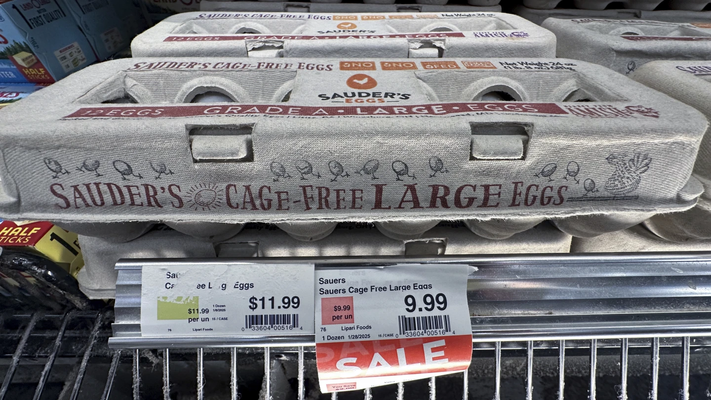 Rising Egg Prices Amid Bird Flu: Market Reality or Corporate Profiteering?