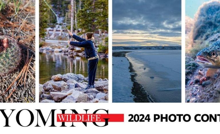 Montana Photographers Win Wyoming Wildlife Photo Contest