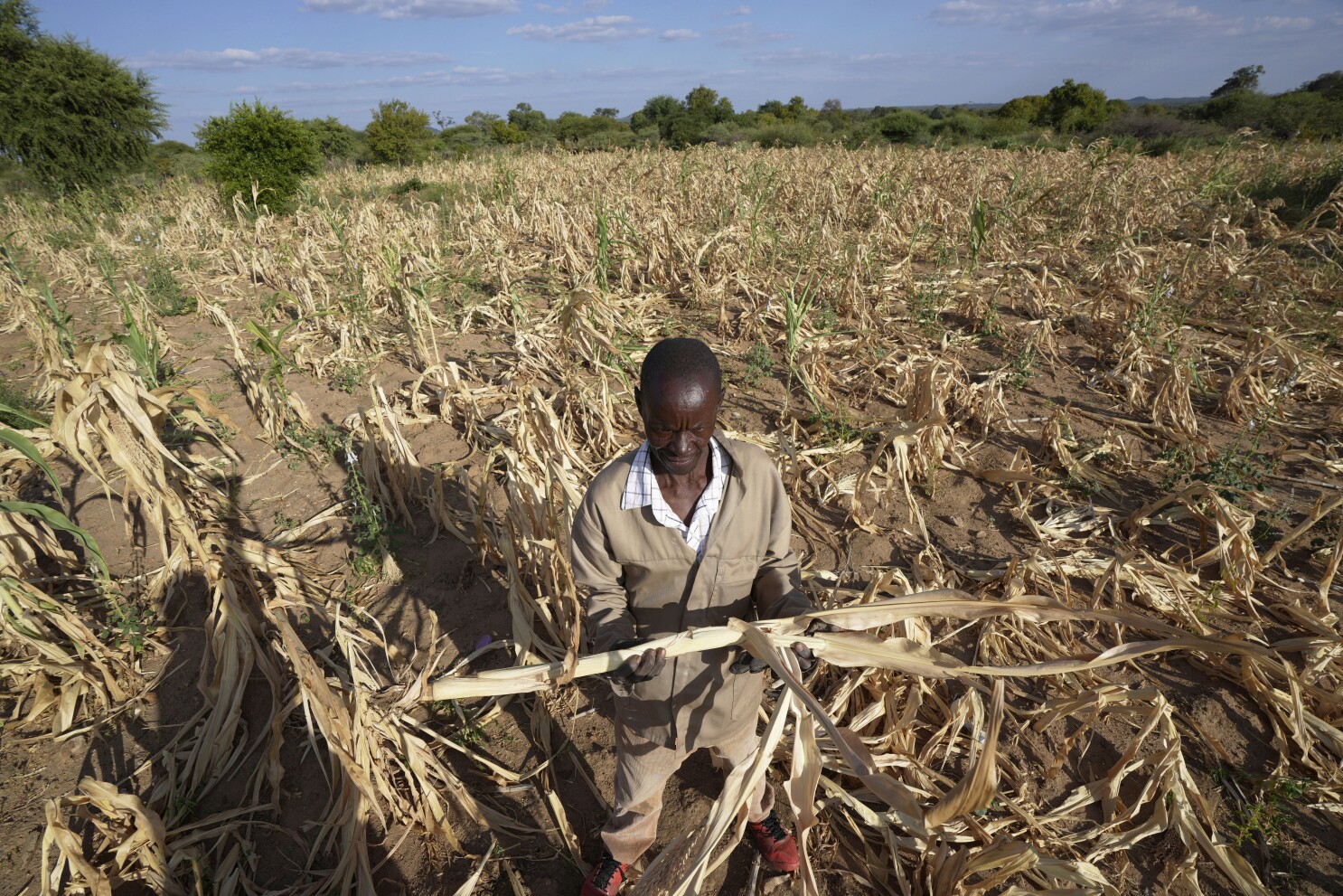 Drought in Namibia Threatens Food Security for Over 40% of Population