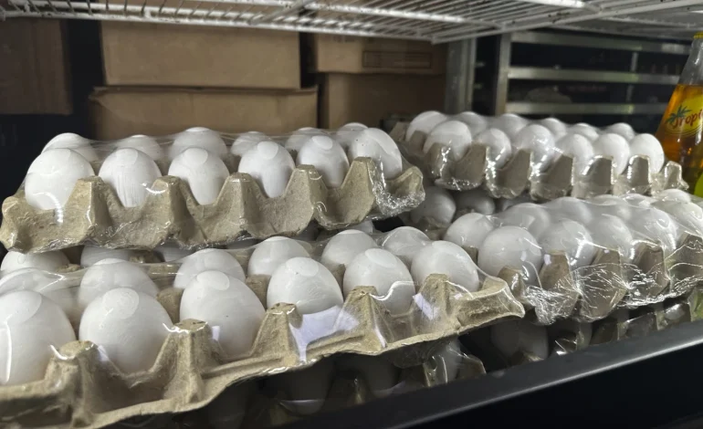 Egg Prices Soar to Record High Amidst Persistent Bird Flu Outbreak