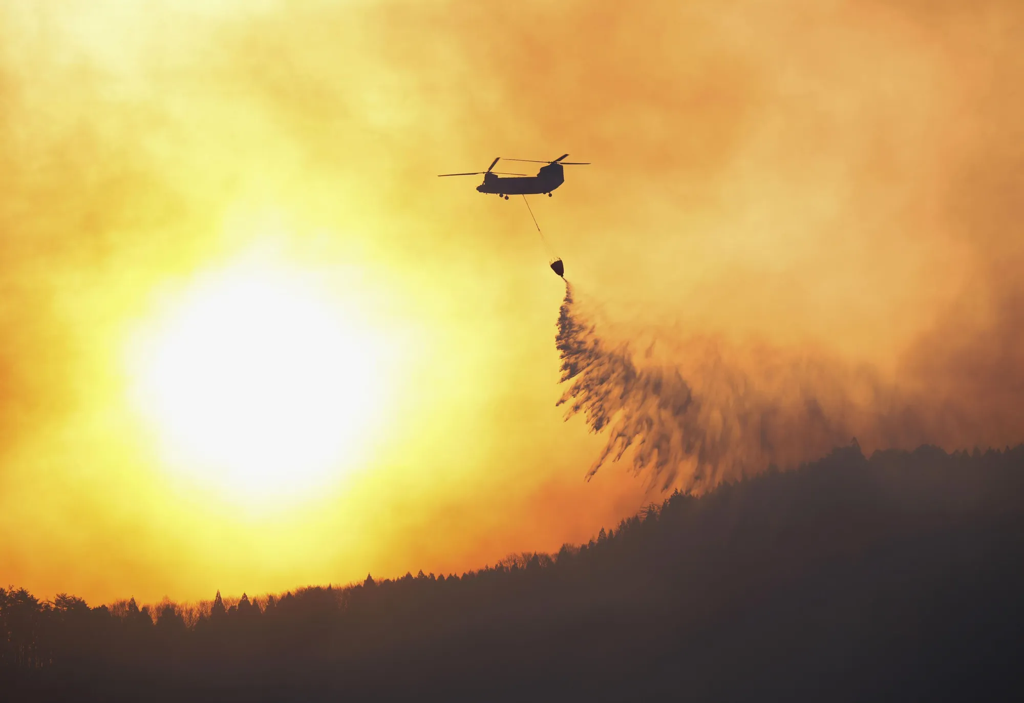 Unprecedented Wildfire Ravages Northeastern Japan, Largest in Nearly 50 Years