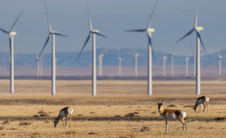 The Renewable Energy Debate: Opportunities for Utah and Wyoming