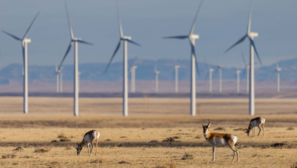 The Renewable Energy Debate: Opportunities for Utah and Wyoming