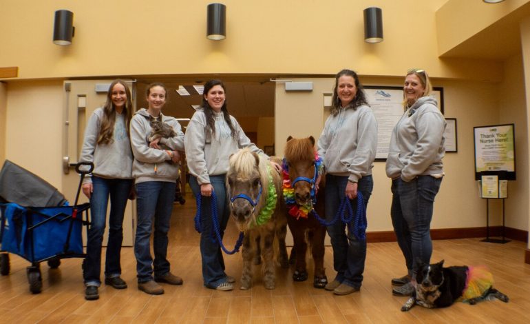 Therapy Animals Bring Comfort to Wyoming Long-Term Care Residents