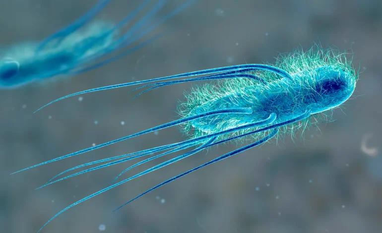 Researchers Investigate Potential Link Between Childhood Bacterial Toxin Exposure and Rising Early-Onset Bowel Cancer Rates