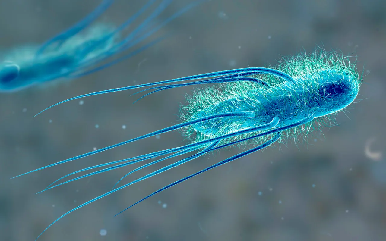 Researchers Investigate Potential Link Between Childhood Bacterial Toxin Exposure and Rising Early-Onset Bowel Cancer Rates