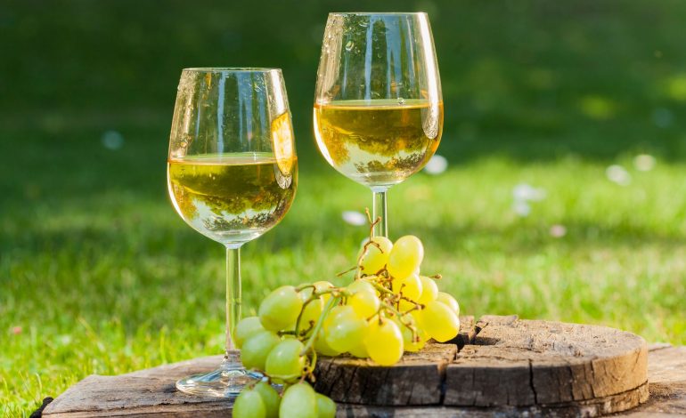 Study Links Champagne and Lifestyle Habits to Lower Risk of Sudden Cardiac Arrest