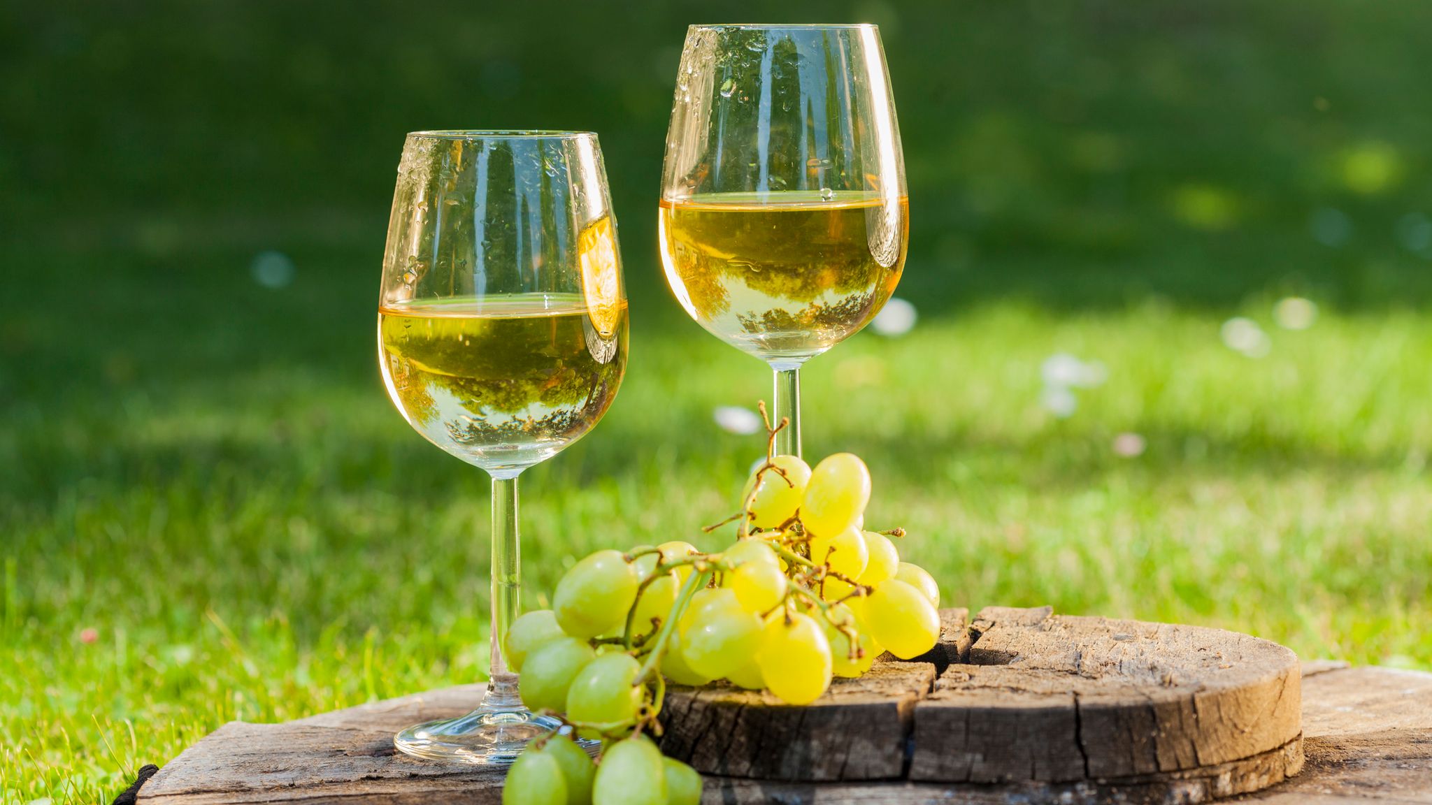 Study Links Champagne and Lifestyle Habits to Lower Risk of Sudden Cardiac Arrest