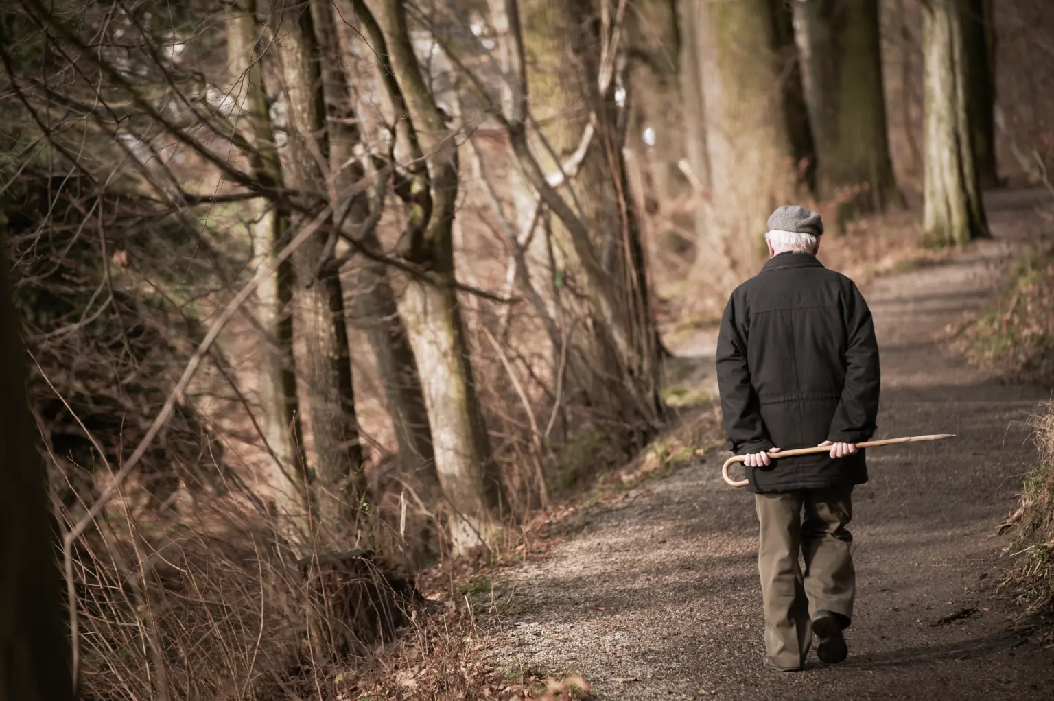 Post-Meal Walks May Boost Digestion, Improve Health, and Lower Disease Risk