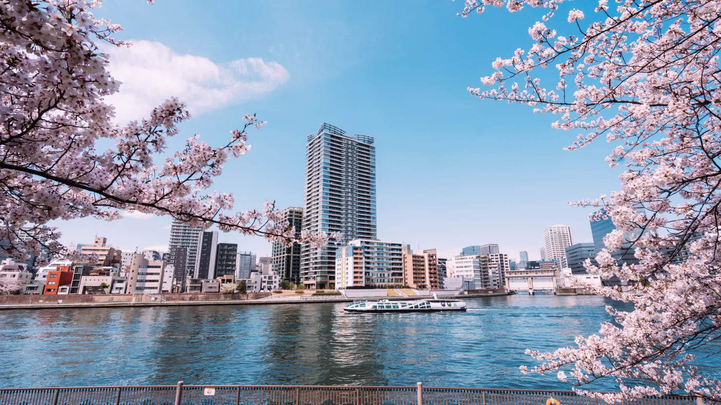 Asia-Pacific Markets Mixed as Japan’s Economic Contraction Raises Growth Concerns