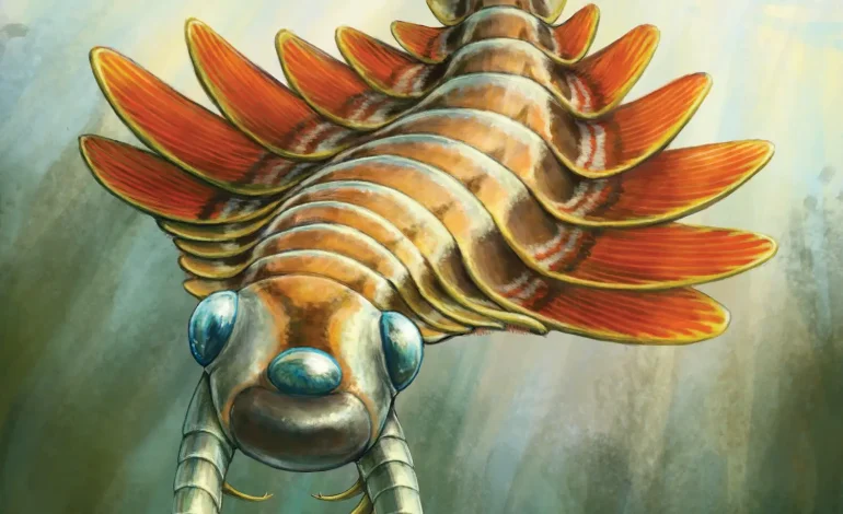Ancient Sea Predator Reveals Evolutionary Links Despite Unusual Appearance