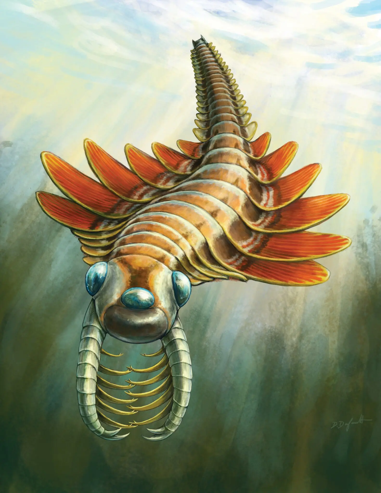 Ancient Sea Predator Reveals Evolutionary Links Despite Unusual Appearance