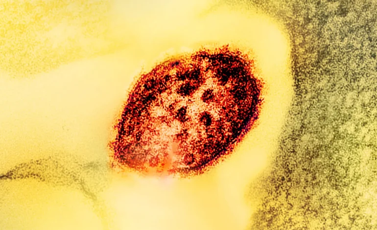 New Initiative Aims to Safeguard US Vaccine Policy Amidst Political Interference, Measles Outbreak