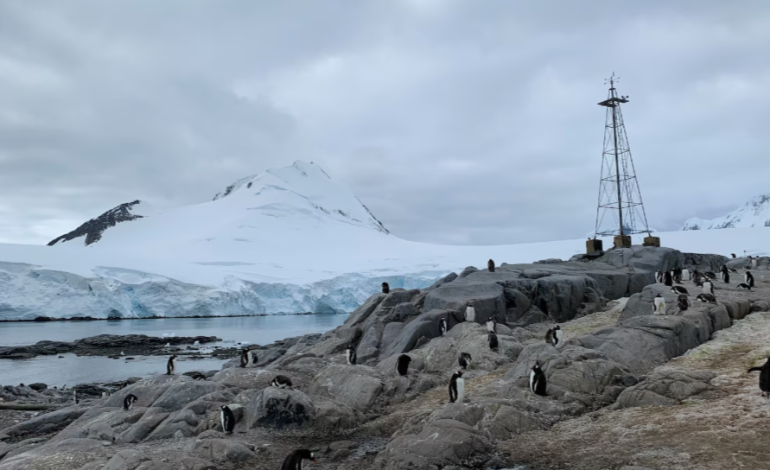 Penguin Guano and Cloud Formation: A Natural Climate Regulator in Antarctica