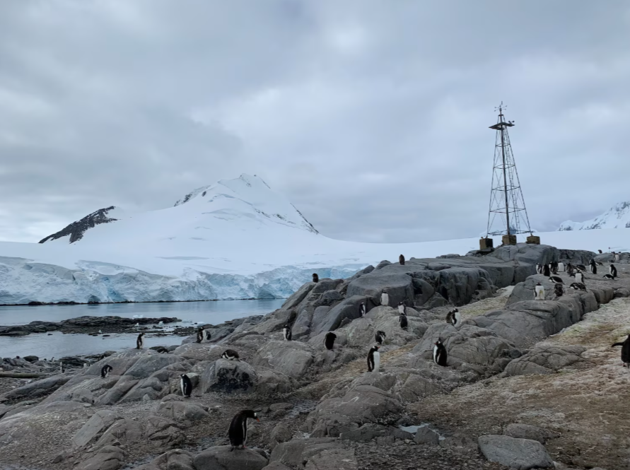 Penguin Guano and Cloud Formation: A Natural Climate Regulator in Antarctica