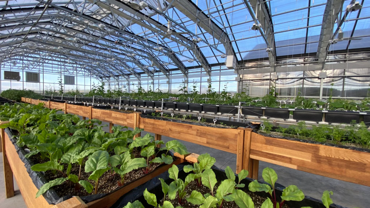From Melody to Harvest: Wyoming Greenhouse Expands with Grateful Dead Inspiration