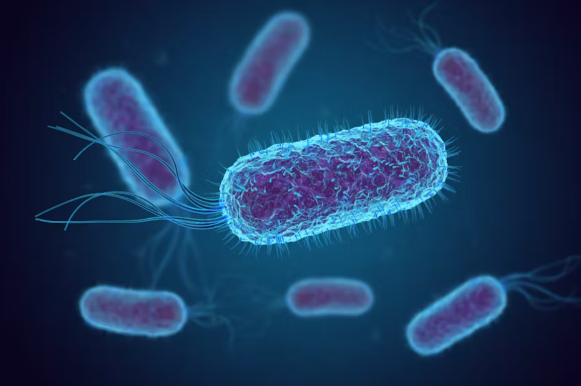 Limited Disclosure in E. coli Outbreak Raises Food Safety Concerns