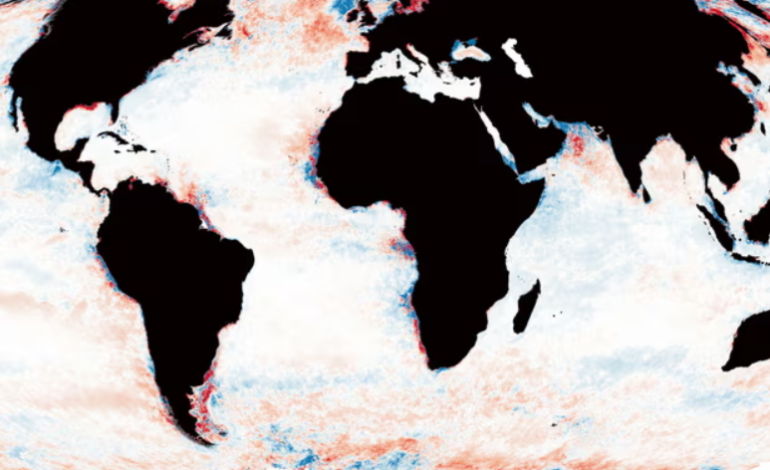 Widespread Ocean Darkening Shrinks Sunlit Zones, Raising Concerns for Marine Ecosystems