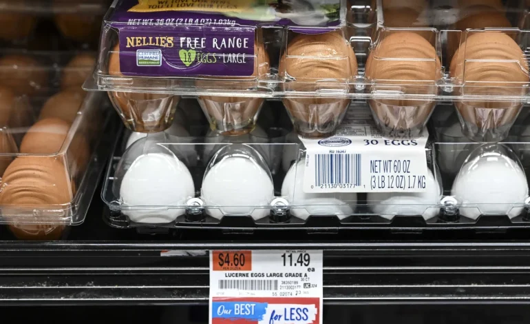 Egg Prices Ease, But Shoppers Brace for Higher Grocery Costs Amid Trade Tensions