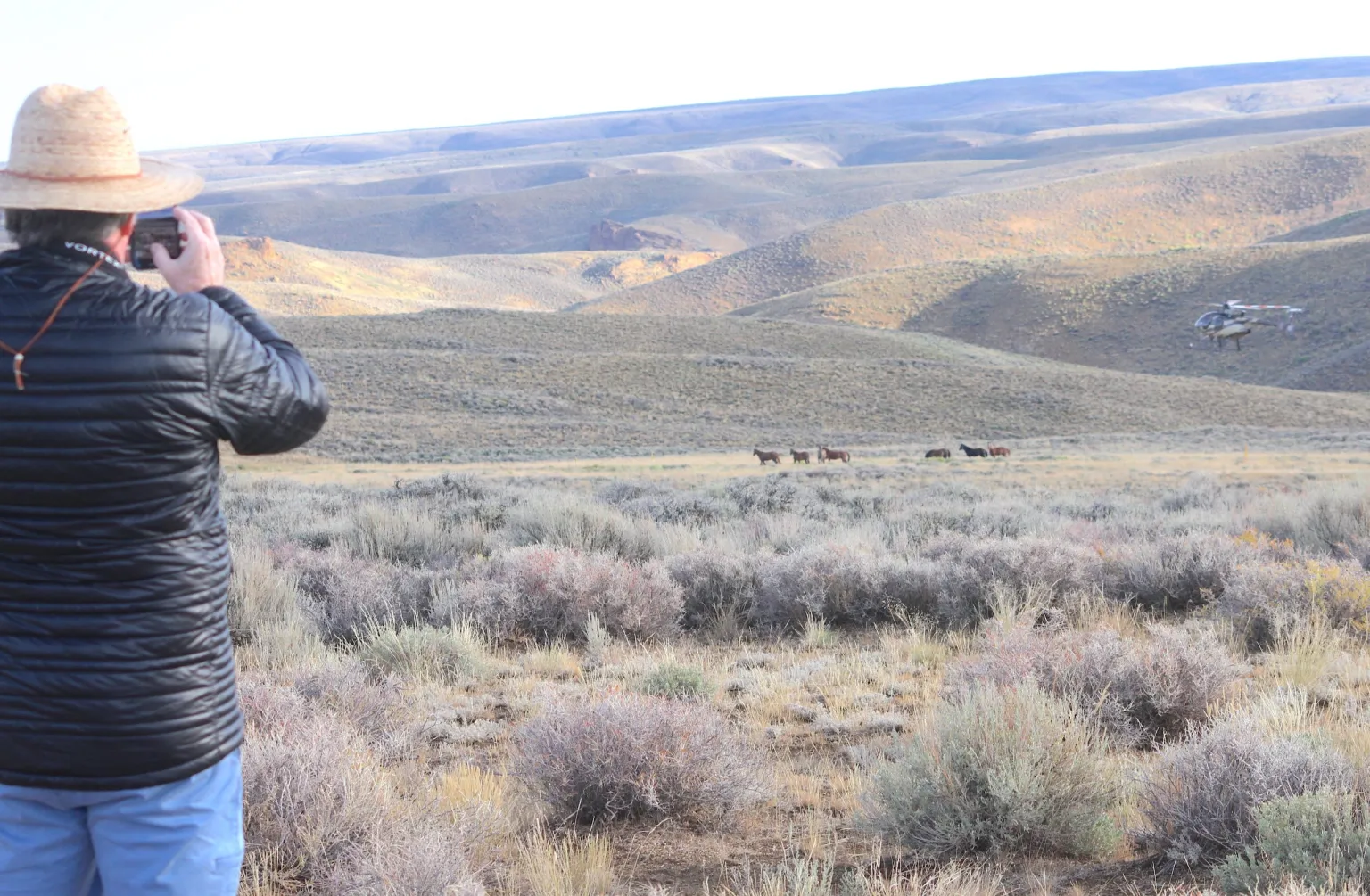 BLM Finalizes Plan to Remove Wild Horses from Wyoming’s Checkerboard Region Starting in July