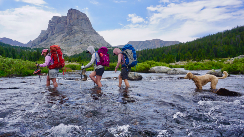 Inaugural WYlder Festival in Casper Promotes Community and Conservation Through Free Public Events