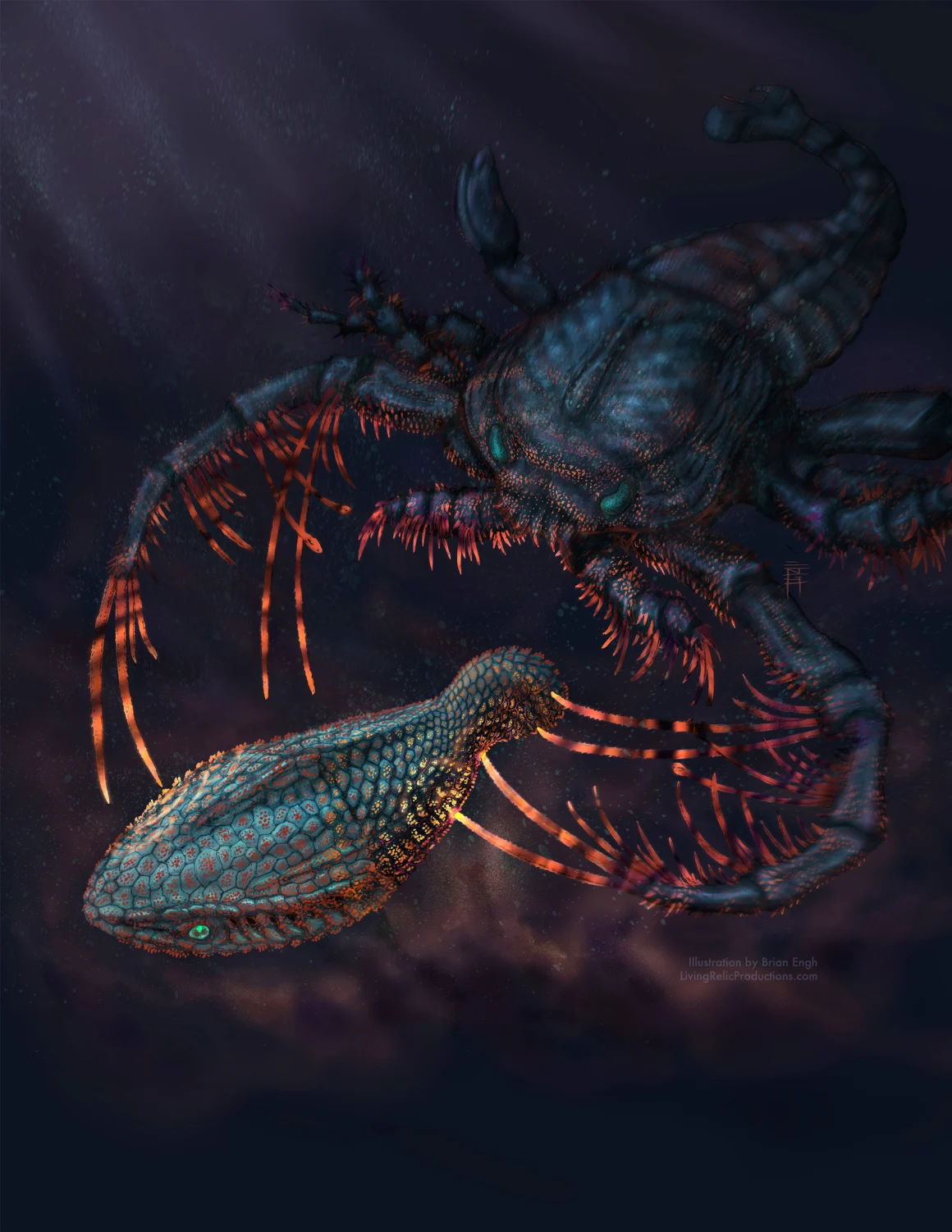 Ancient Fish Armor Bumps May Have Evolved Into Teeth, New Study Suggests