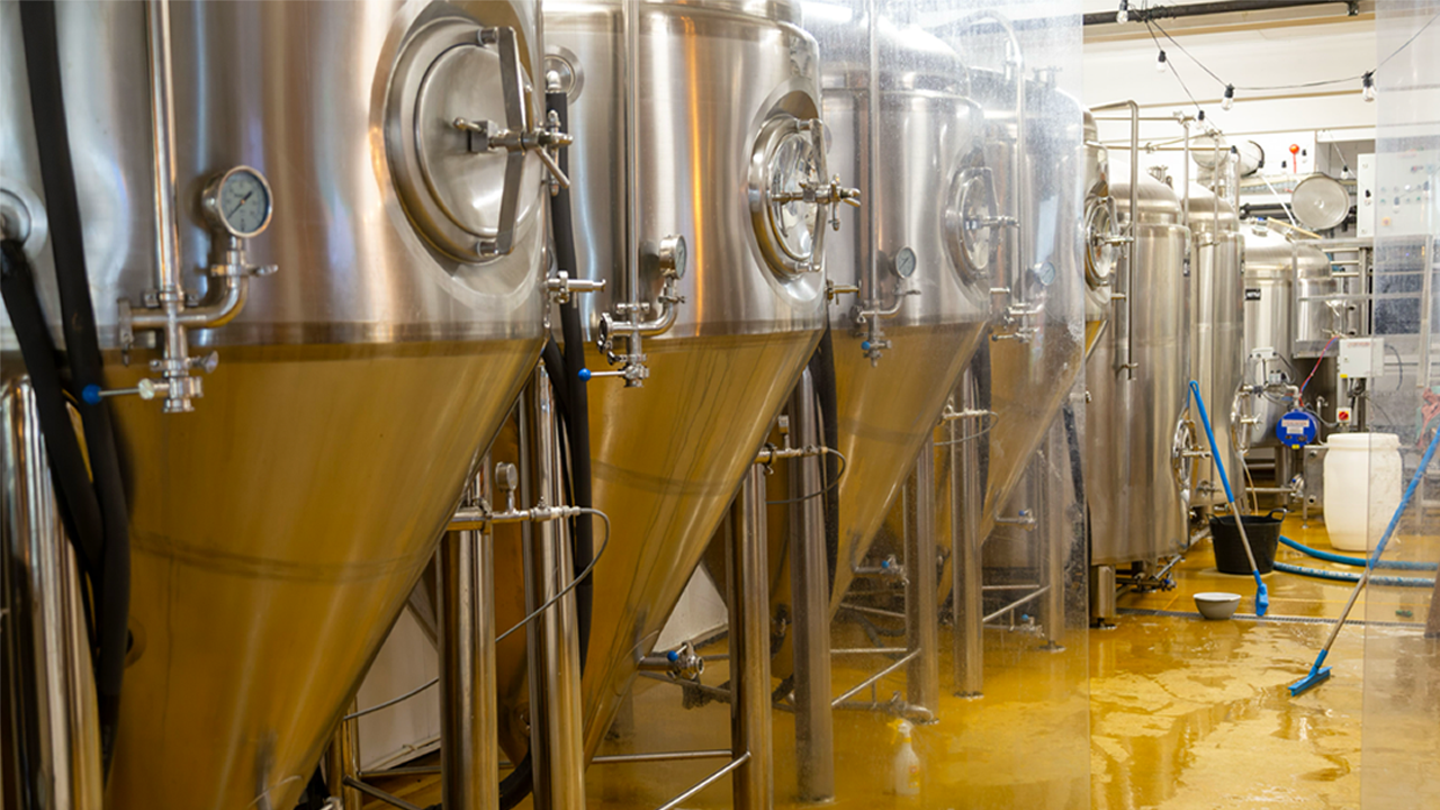 Study Finds Elevated Levels of ‘Forever Chemicals’ in U.S. Beers
