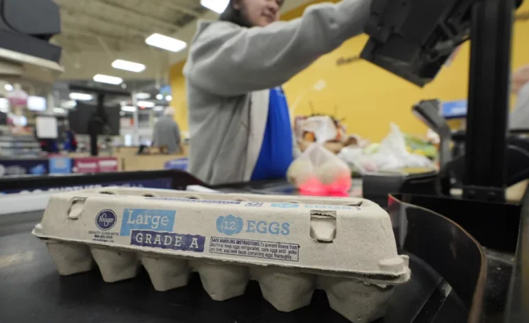 US Egg Prices Decline for First Time in Months but Remain Elevated