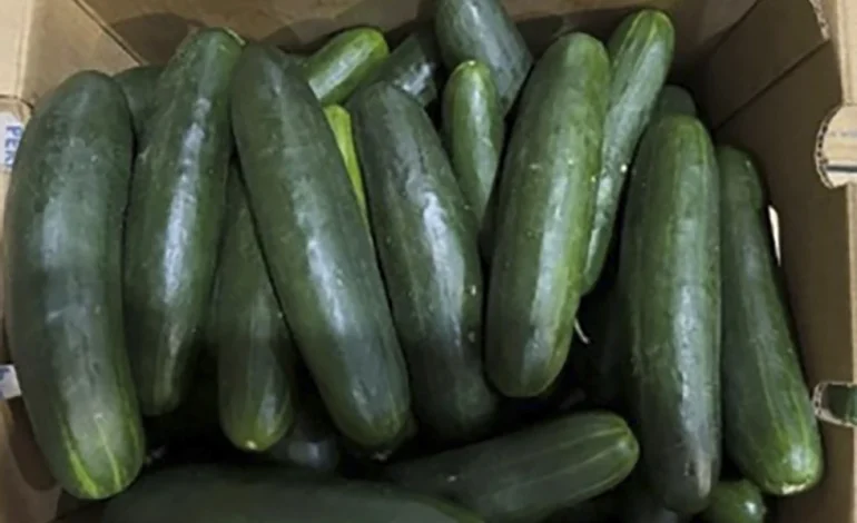Salmonella Cases Rise Nationwide Amid Cucumber Recall